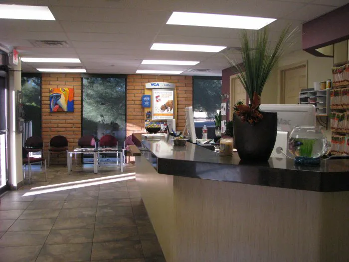 VCA McCormick Ranch Animal Hospital and Emergency Center Picture 9