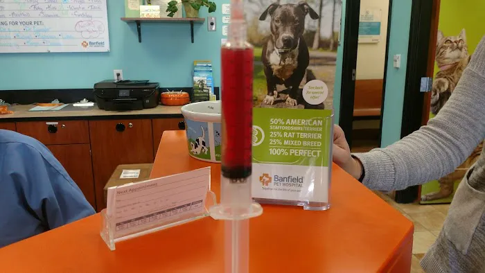 Banfield Pet Hospital Picture 6