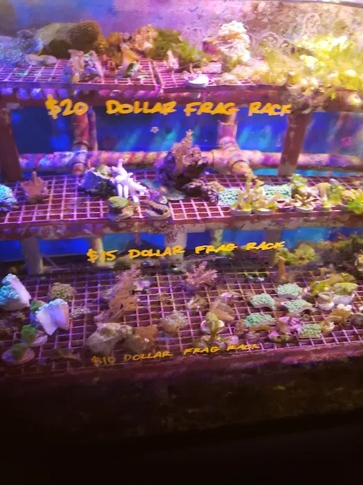 Carson Tropical Fish Picture 5