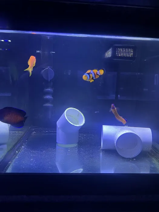 Fish and Coral Store Picture 7