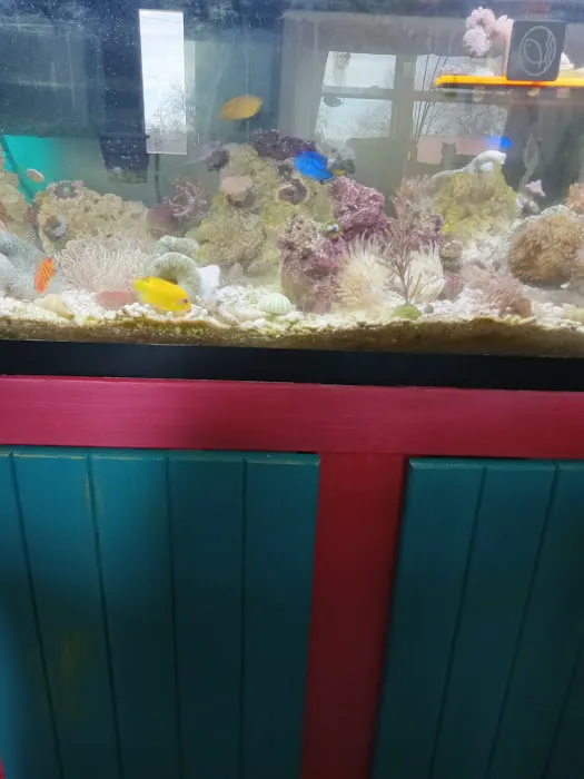 Fish and Coral Store Picture 5