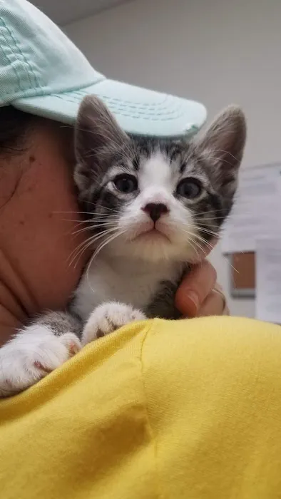 Four Legged Friends Animal Hospital Picture 3