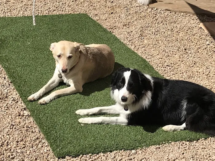 Four Legged Friends Animal Hospital Picture 6