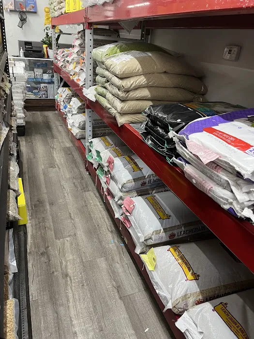The Canary Finch Store Picture 1