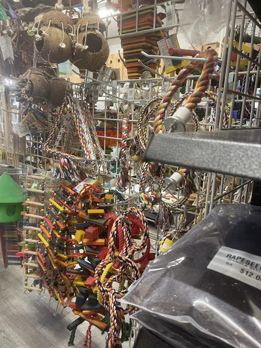 The Canary Finch Store Picture 5