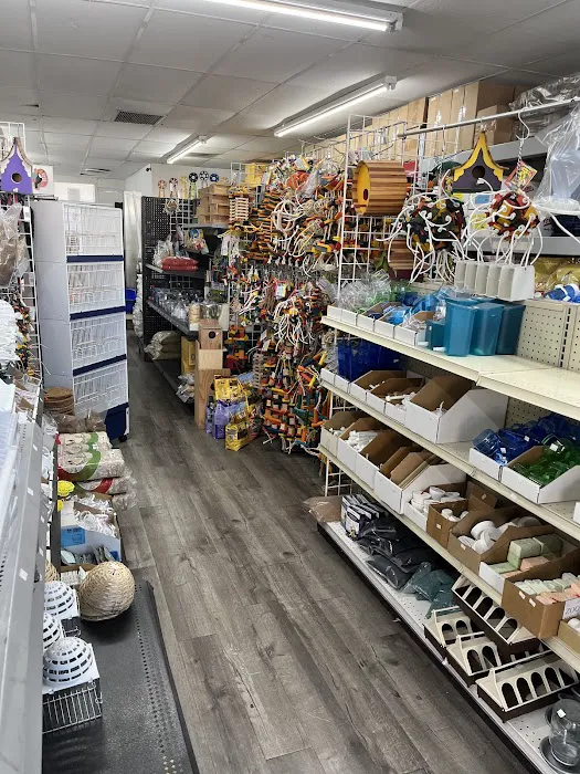 The Canary Finch Store Picture 8