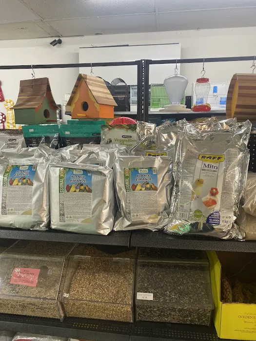 The Canary Finch Store Picture 9