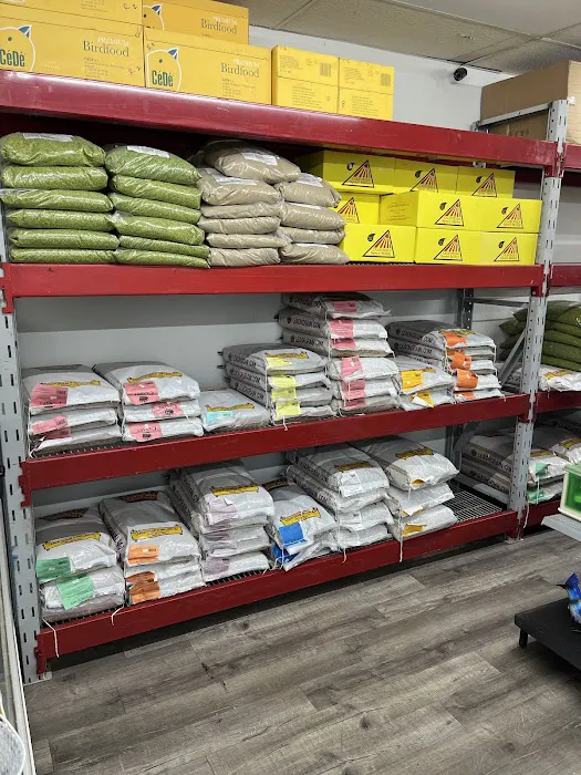 The Canary Finch Store Picture 10