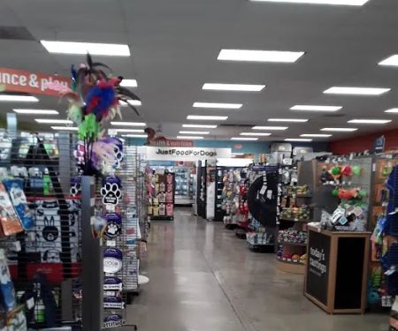 Unleashed by Petco