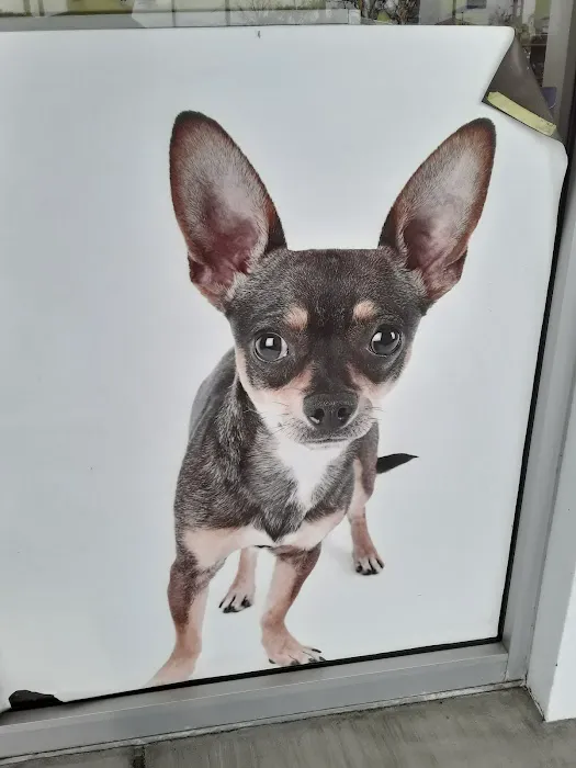 Unleashed by Petco Picture 3