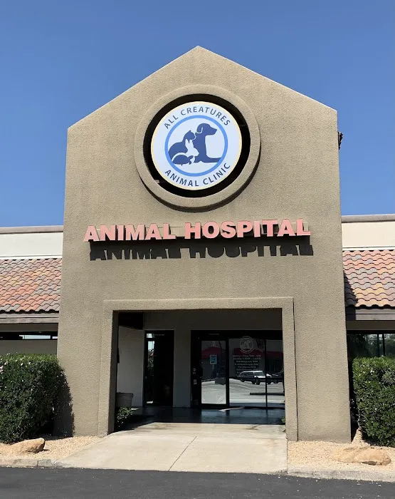 All Creatures Animal Clinic Picture 5