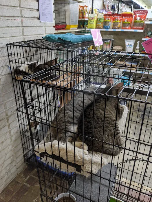 Paw Shoppe Pet Center Picture 7