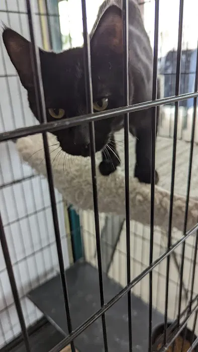 Paw Shoppe Pet Center Picture 5