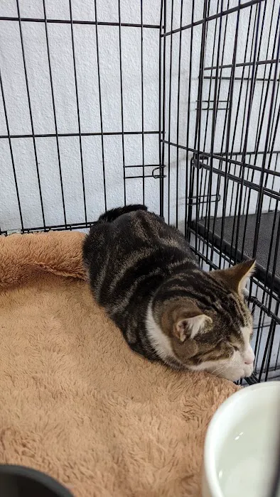 Paw Shoppe Pet Center Picture 6