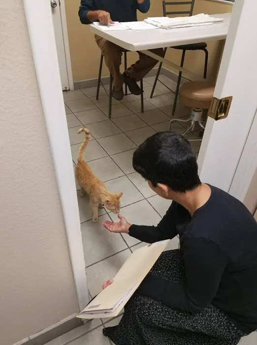 Sugarloaf Animal Clinic Picture 10