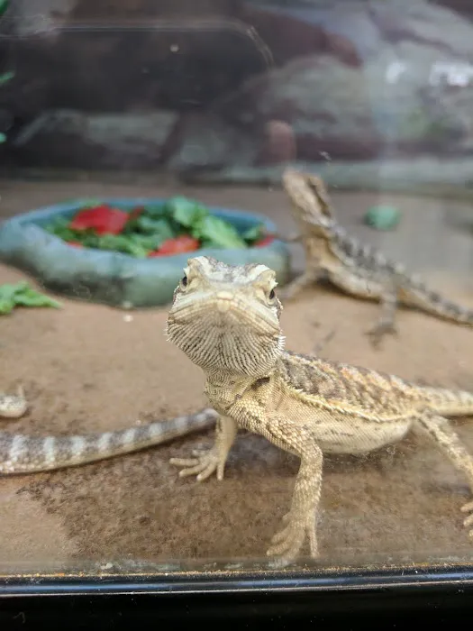 Petco Picture 10