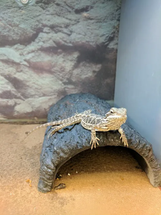 Petco Picture 9