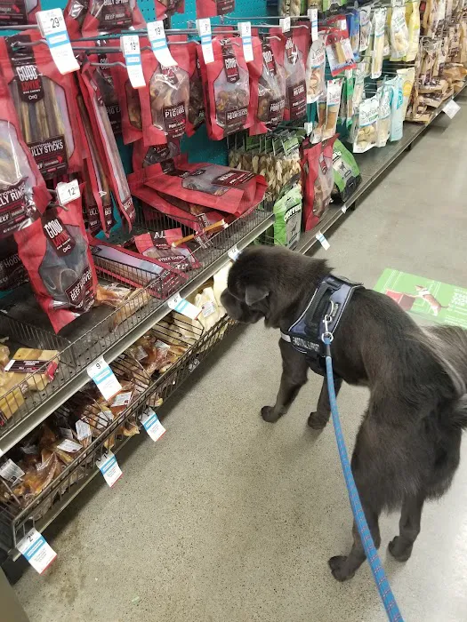 Petco Picture 8