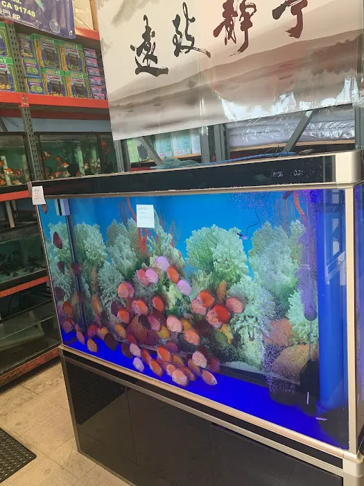 House Aquarium Picture 3