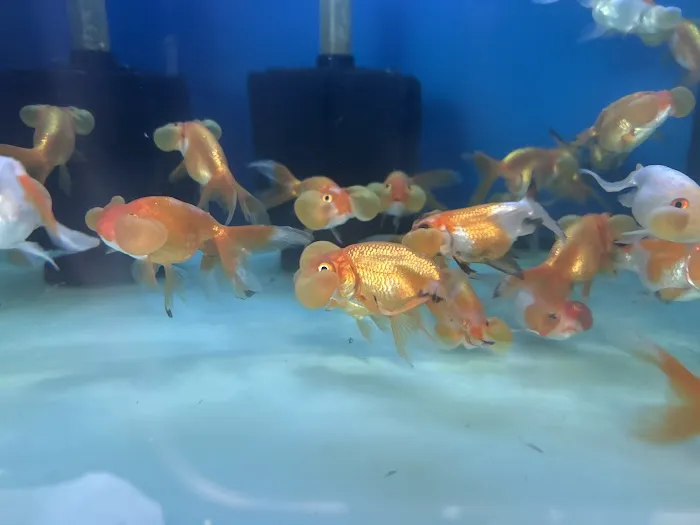 House Aquarium Picture 1