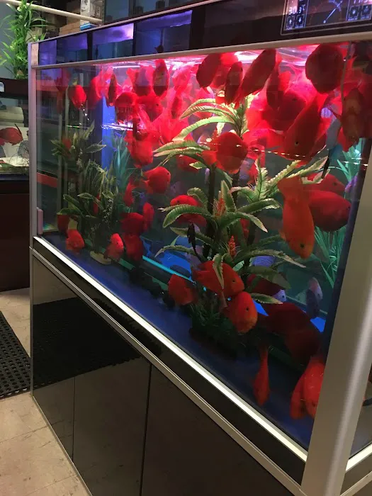 House Aquarium Picture 8