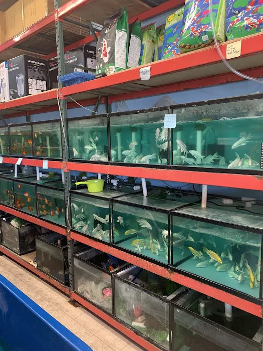 House Aquarium Picture 6