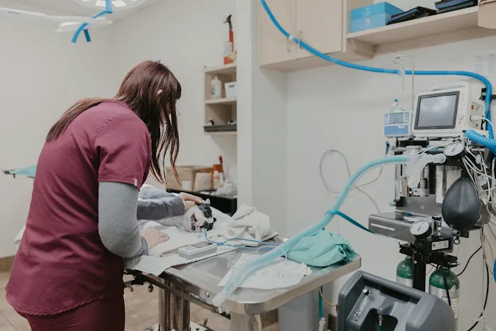 Dr. Kelly's Surgical Unit - North Phoenix Picture 7