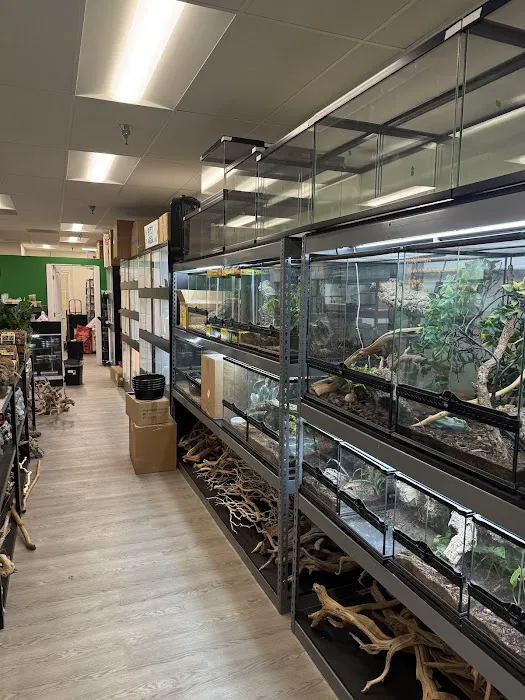 The Reptile Lounge Picture 1