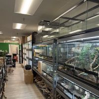 The Reptile Lounge ico