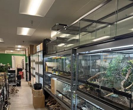 The Reptile Lounge