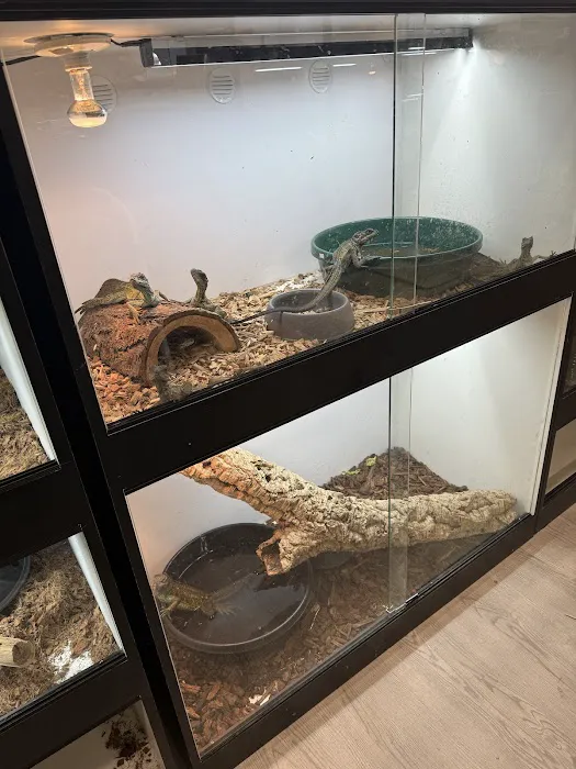 The Reptile Lounge Picture 4