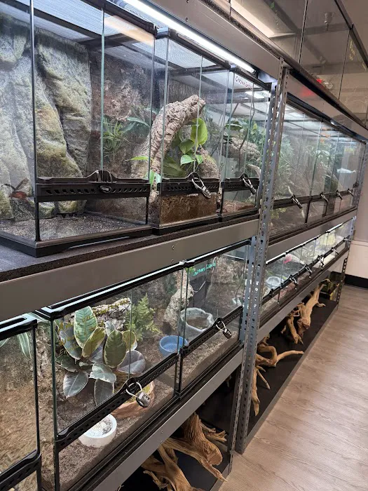 The Reptile Lounge Picture 10