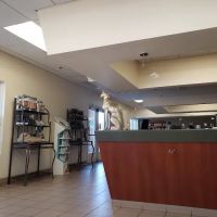 Hopi Animal Hospital ico