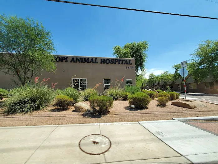 Hopi Animal Hospital Picture 5