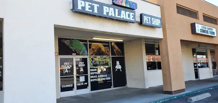 Pet Palace Picture 3