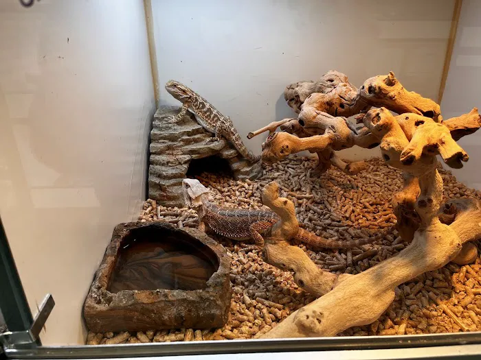 Pet Palace Picture 2
