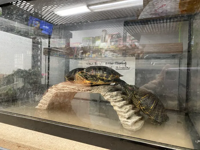 Pet Palace Picture 4