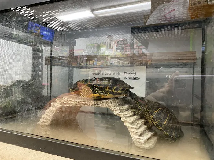Pet Palace Picture 5