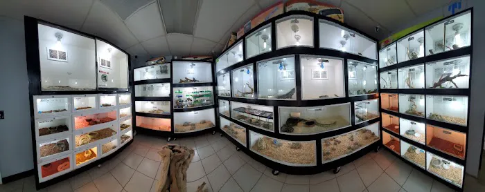Pet Palace Picture 8