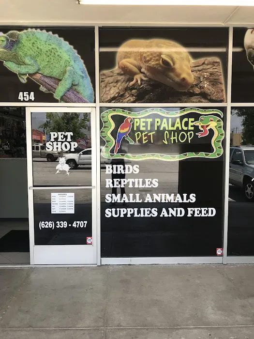 Pet Palace Picture 7