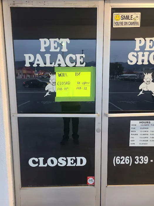 Pet Palace Picture 6