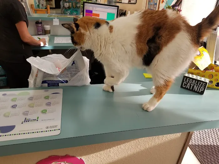 Amigo Animal Clinic Picture 2