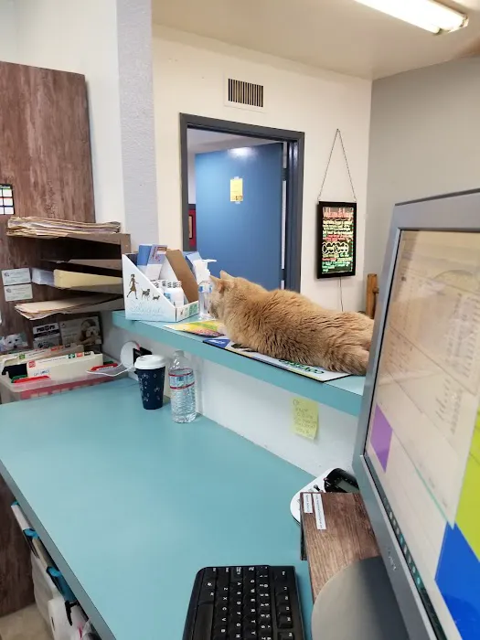 Amigo Animal Clinic Picture 6
