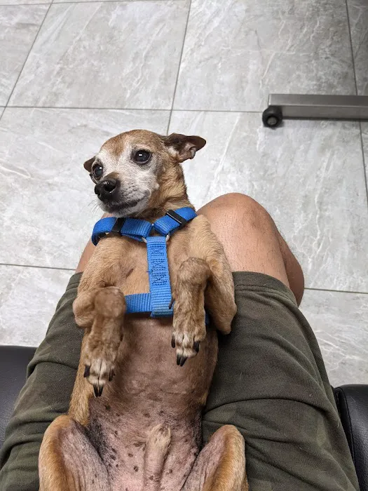 Canyon Animal Hospital Picture 1