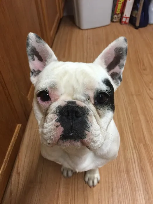 Canyon Animal Hospital Picture 5