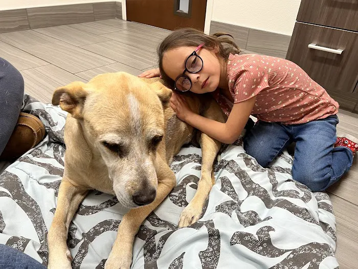 VCA Animal Referral and Emergency Center of Arizona Picture 9