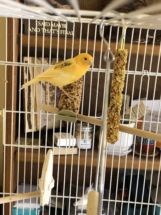 Arizona Exotic Animal Hospital (Mesa) Picture 2