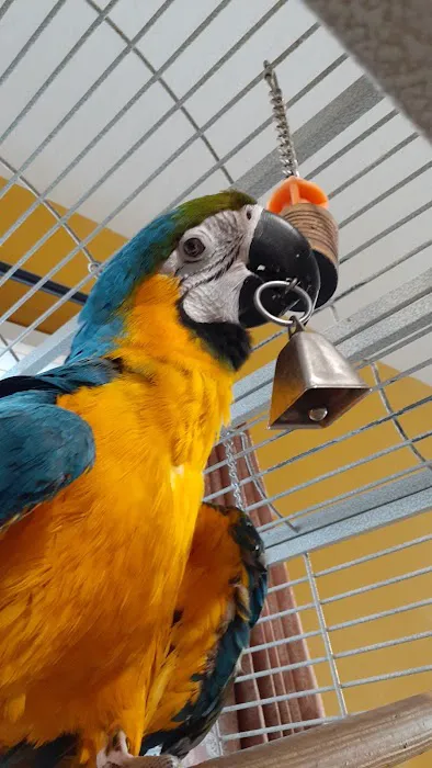 Arizona Exotic Animal Hospital (Mesa) Picture 7