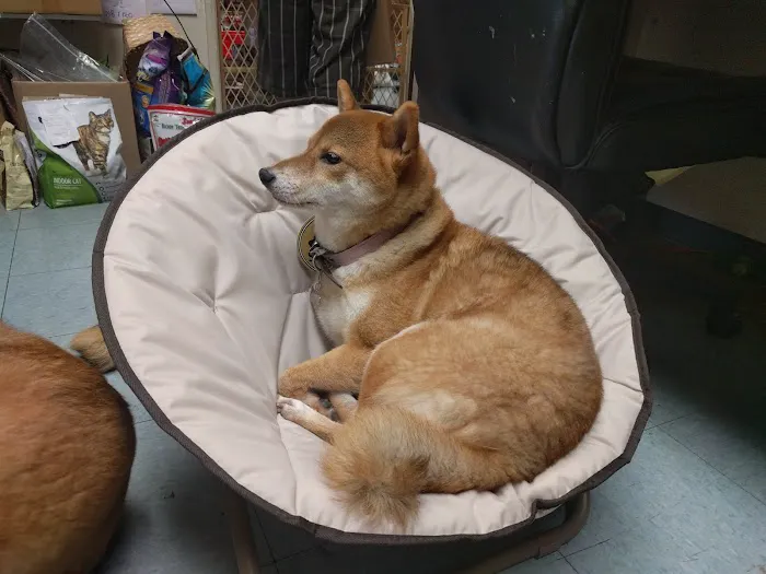 Friends Fur-Ever Pet Food & Supplies Picture 5