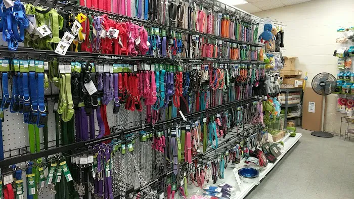 Friends Fur-Ever Pet Food & Supplies Picture 7